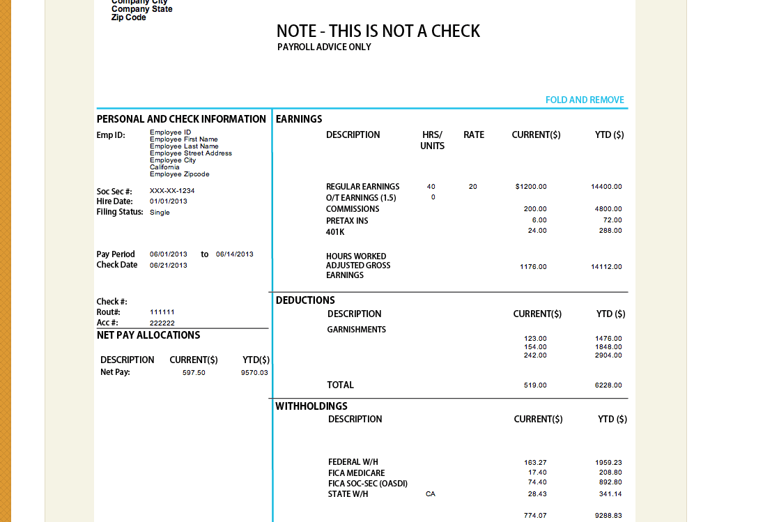 New Paycheck Pay Stub Template For 13 Paycheck Stub Online
