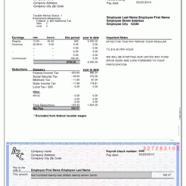 How to Make a Pay Stub - PayCheck Stub Online .com