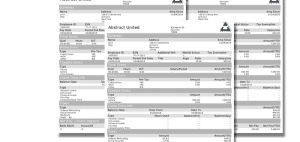 modern paystub generator