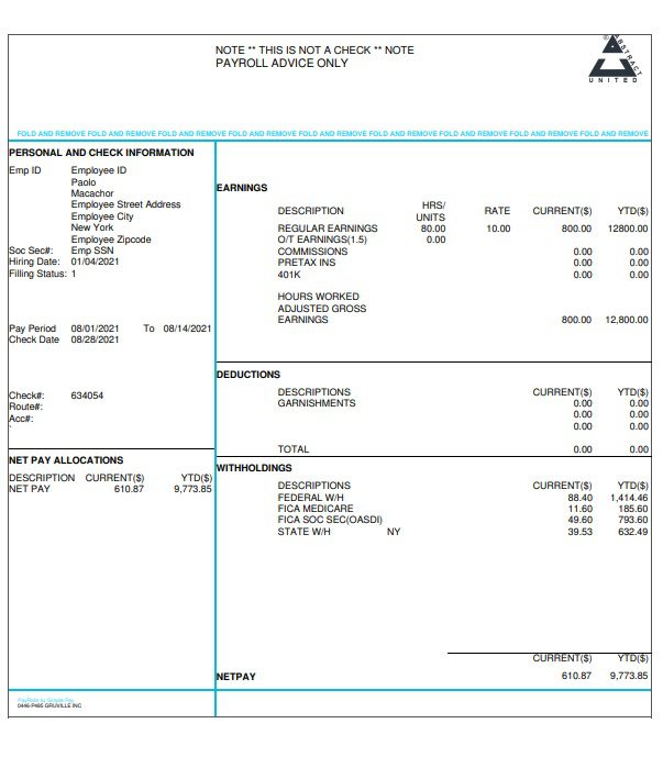 Pay Checks Stubs Online | Fast Paystub Generator